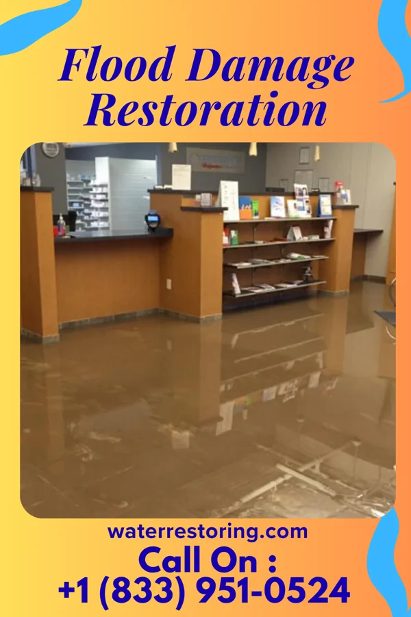 Flood Damage Restoration in Oakwood Hills, IL