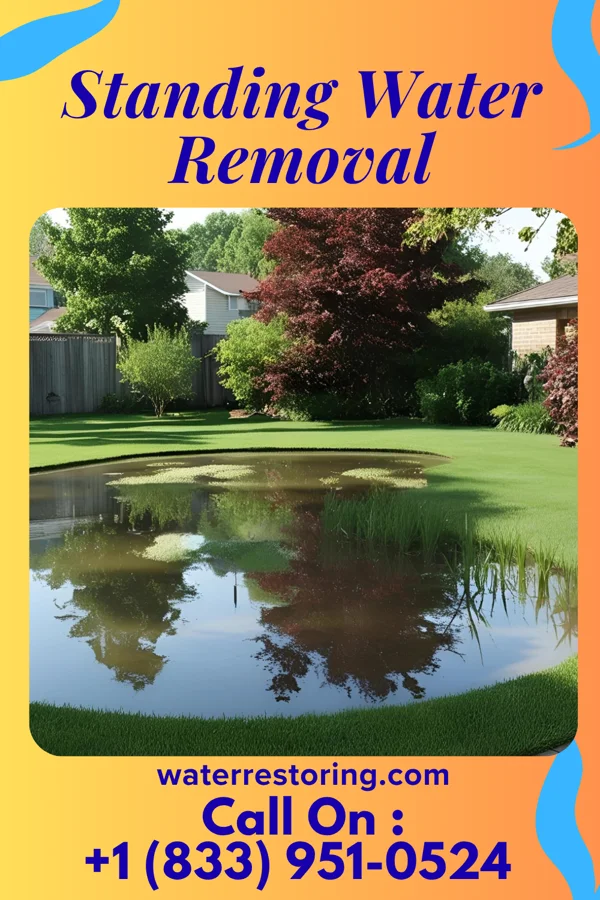 Standing Water Removal in Oakwood Hills, IL